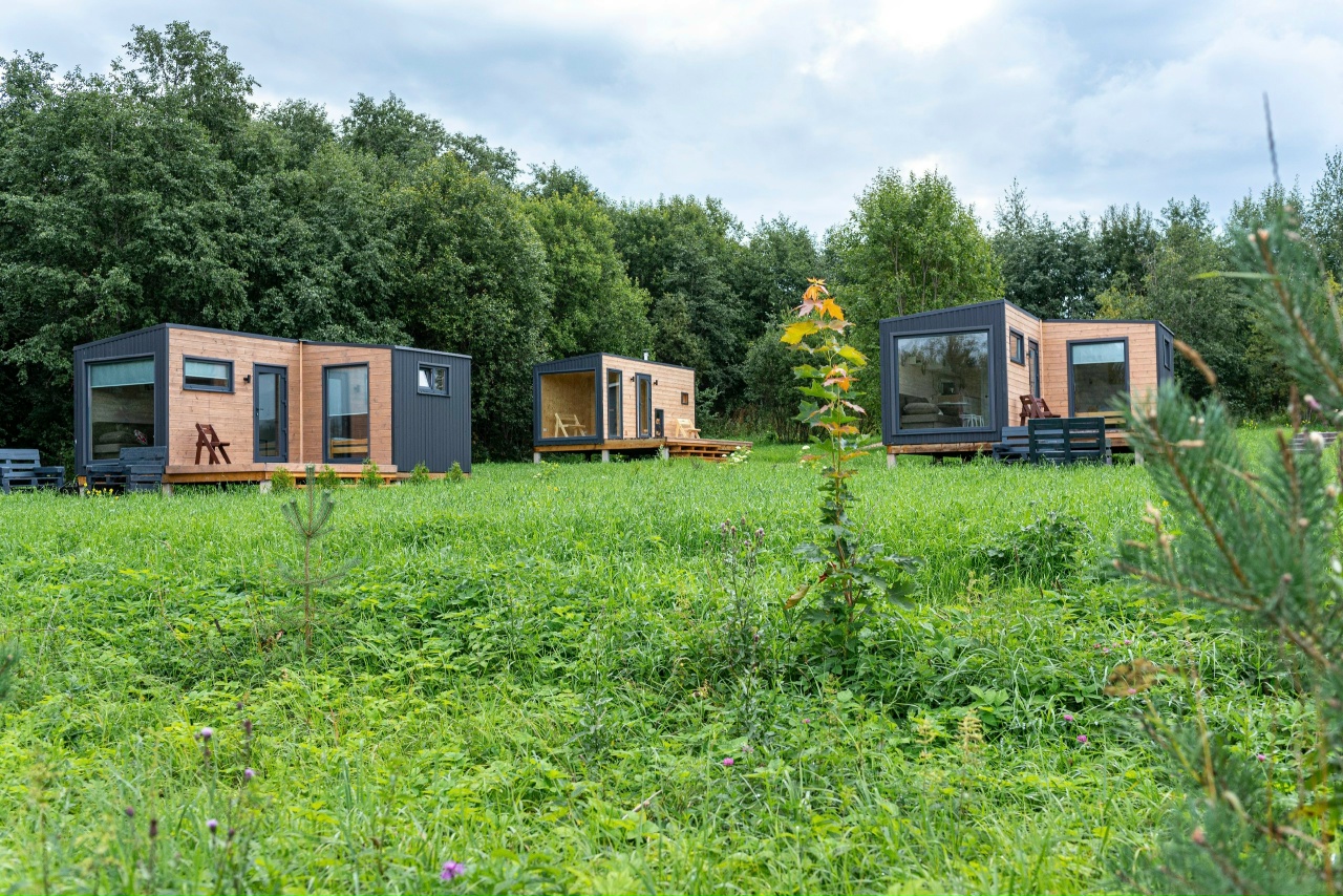 Ночь под звёздами